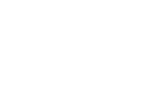 FF University Logo_white